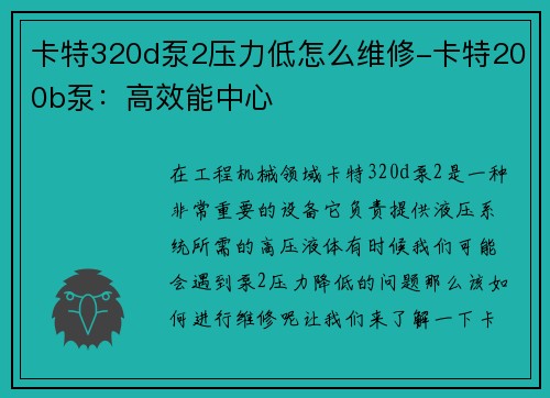 卡特320d泵2压力低怎么维修-卡特200b泵：高效能中心