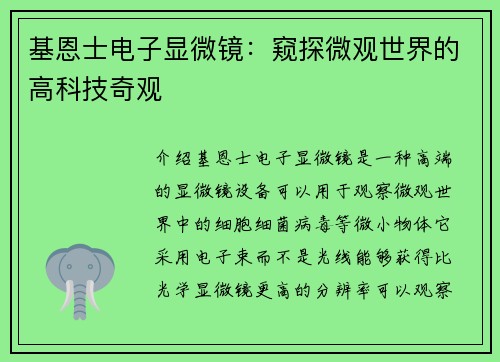 基恩士电子显微镜：窥探微观世界的高科技奇观